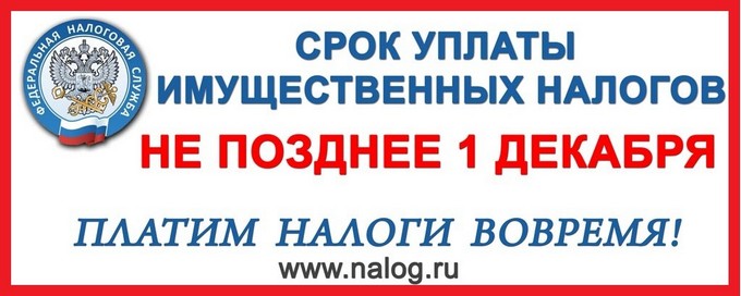 srok yplat nalog