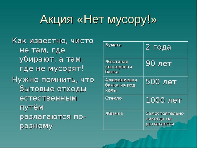 net musoru2021 1