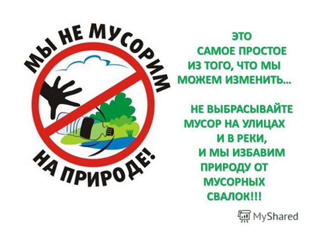 net musoru2021 2